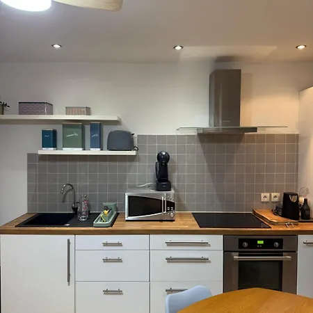 Cocon Du Petit 公寓 巴约讷