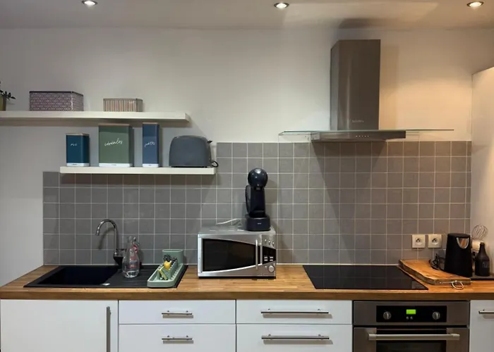 Cocon Du Petit 公寓 巴约讷